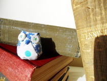 Cute&Simple Owl