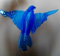 From Bottle To Bird