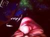 Small_photo__1_