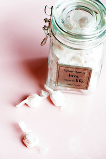 Mint Ginger Preggo Pills