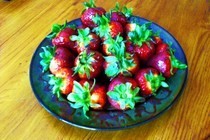 Chocolate Covered Strawberrys 