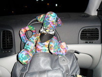 Kitty Plush