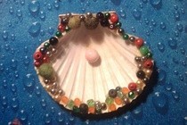 Shell Case