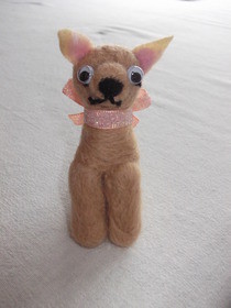 Lulu The Chiuaua