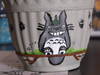 Small_dscf1720