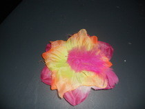 Flower, Feathers And Rock N Roll