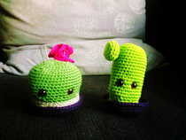 1 Cactus, 2 Cactus