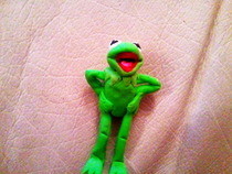 Kermit :D