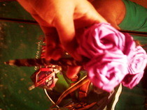 Ribbon Rose Pen's
