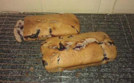Honey Yoghurt And Blueberry Loaf Cake