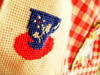 Small_dsc01306