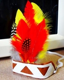 Feathery Headband