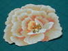 Small_dscn1789