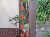 Small_img_2033_1