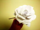 Paper Rose Boutonniere