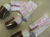 Small_gedc0129