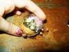 Small_walnut_shell_boxes