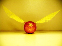 Golden Snitch