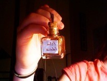 Felix Felicis Necklace