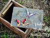 Small_img_1571editmaininternet