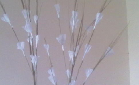  White Flowers