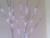  White Flowers
