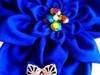 Small_imag0398