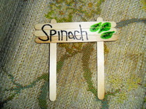 Garden Tags