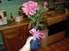Small_cimg9276