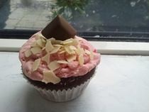 Choco Raspberry Cupcakes