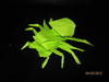 Small_img_1056_1_