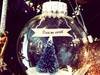 Small_photo-2