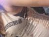 Small_2012-03-04_11.29.12