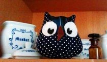 Owls 