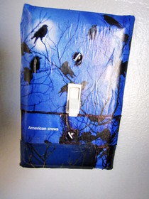 Old Books New Light Switches