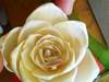 Small_imag0038