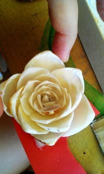 Shell Flower