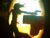 Small_imag0237