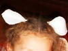 Small_dscf5406_3