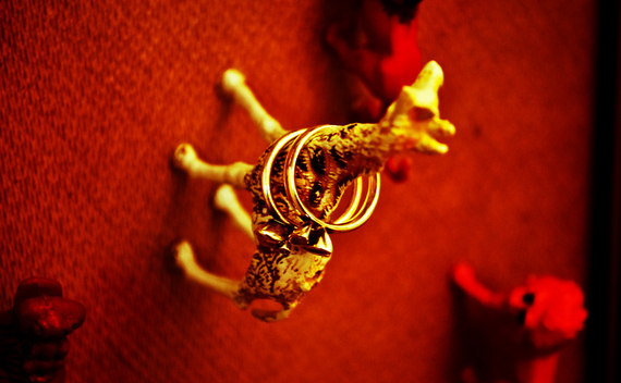 Jewelry Zoo