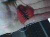 Small_picture_66