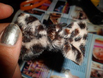 D.I.Y Hair Bows
