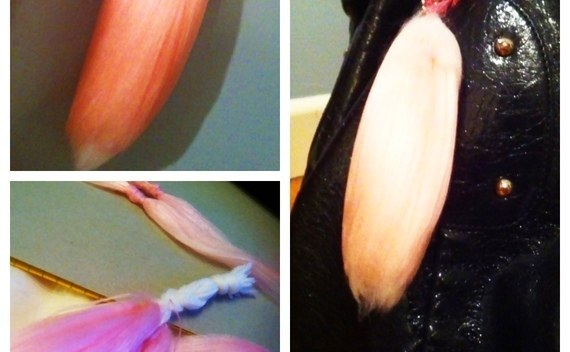 Fox Tail...Out Of Yarn?