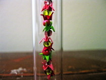 Itsy Bitsy Origami Bottle