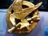 Small_photo020