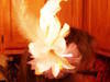 Small_photo-0286