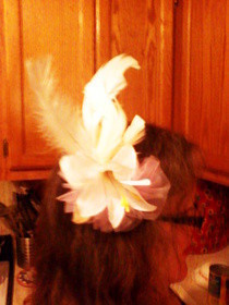 Diy Fascinators