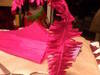 Small_photo-0294