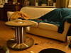 Small_dsc_0008