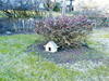 Small_dsc_0005